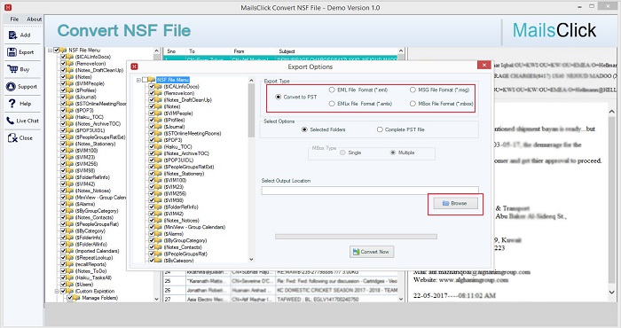 choose export option